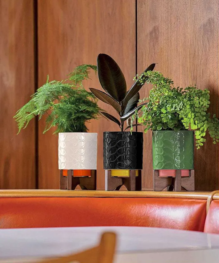 Orla Kiely Debossed Plant Pot On Wooden Stand